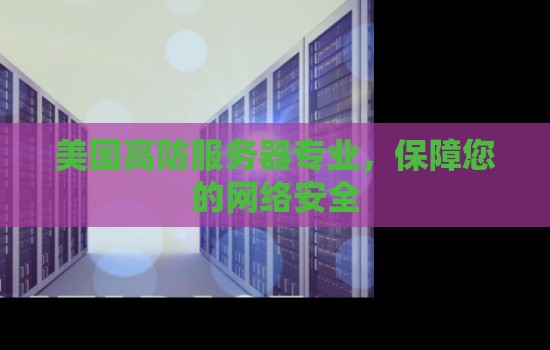 美国高防服务器专业,保障您的网络安全 美国高防服务器专业,保障您的网络安全