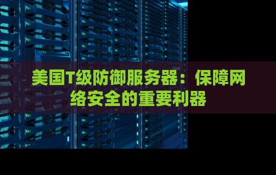 美国T级防御服务器:保障网络安全的重要利器 美国T级防御服务器:保障网络安全的重要利器