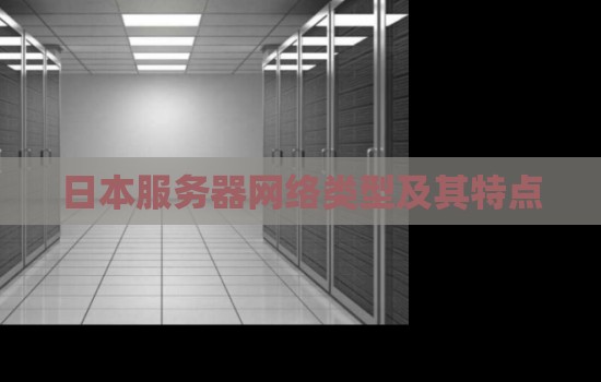 分析日本服务器网络类型：高速、稳定、安全的优势分析