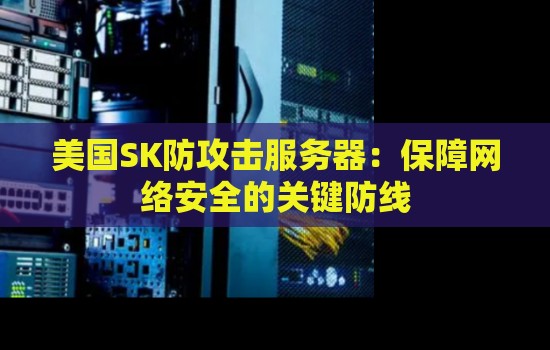 美国SK防攻击服务器：保障网络安全的关键防线