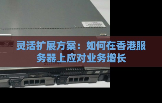 灵活扩展方案：如何在香港服务器上应对业务增长