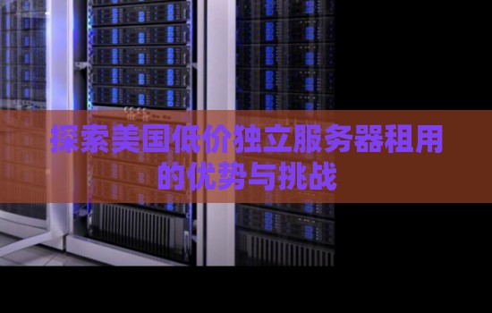 分析美国低价独立服务器租用的优势与挑战 分析美国低价独立服务器租用的优势与挑战
