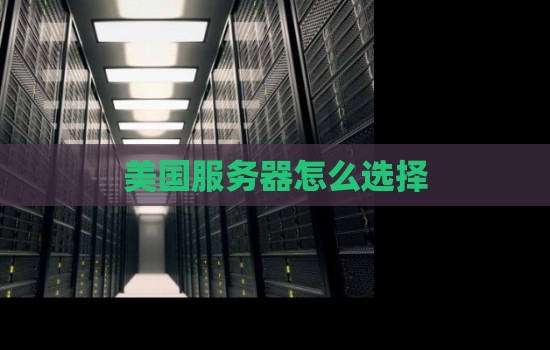 企业美国服务器怎么选择,需要注意哪些因素 企业美国服务器怎么选择,需要注意哪些因素