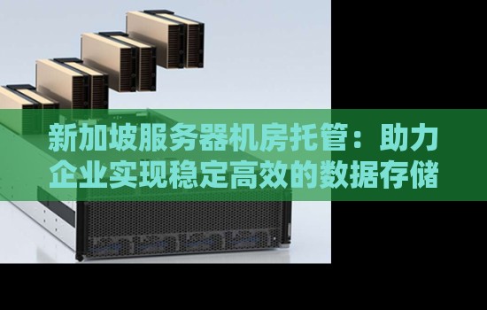 新加坡服务器机房托管：助力企业实现稳定高效的数据存储与管理