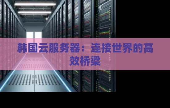 韩国云服务器:连接世界的高效桥梁 韩国云服务器:连接世界的高效桥梁