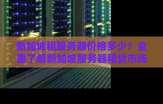 新加坡租服务器价格多少？全面了解新加坡服务器租赁市场