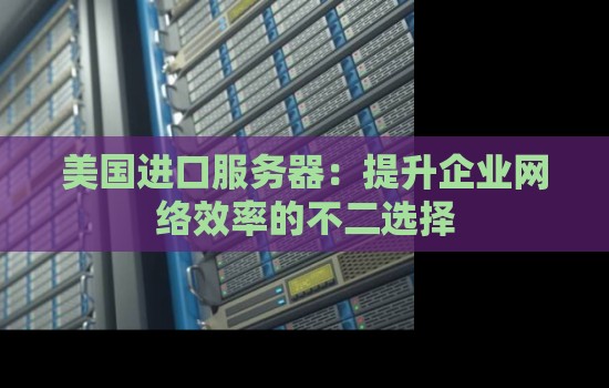 美国进口服务器:提升企业网络效率的不二选择 美国进口服务器:提升企业网络效率的不二选择