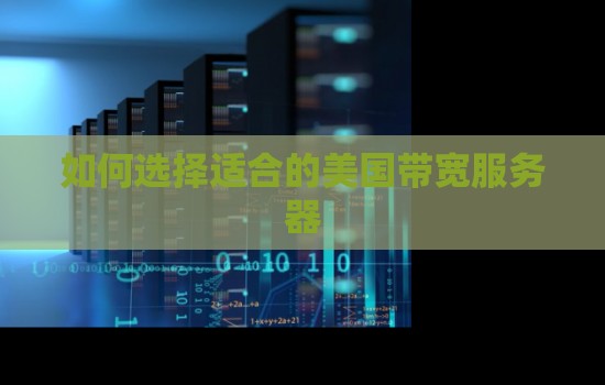 企业如何选择适合的美国带宽服务器 企业如何选择适合的美国带宽服务器