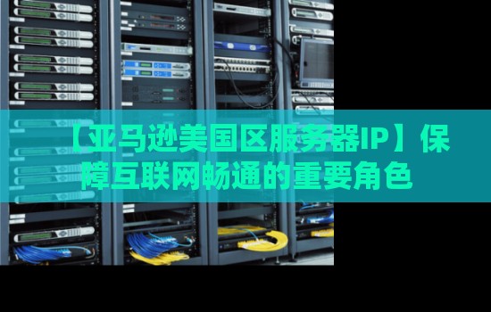 亚马逊美国区服务器IP:连接全球信息流动的支撑枢纽 亚马逊美国区服务器IP:连接全球信息流动的支撑枢纽