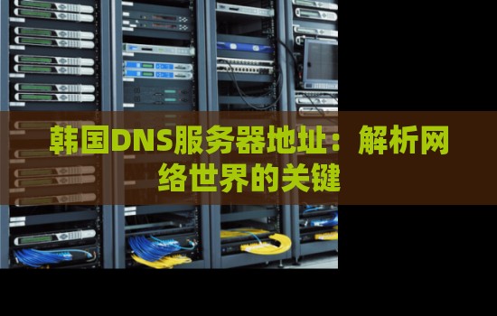 韩国DNS服务器地址:解析网络世界的关键 韩国DNS服务器地址:解析网络世界的关键