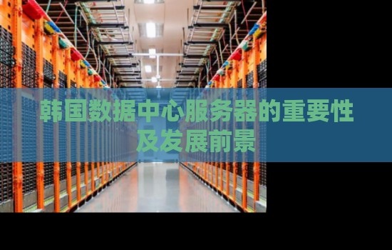 韩国数据中心服务器的重要性及发展前景 韩国数据中心服务器的重要性及发展前景