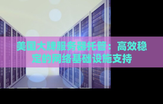 美国大牌服务器托管:高效稳定的网络基础设施支持 美国大牌服务器托管:高效稳定的网络基础设施支持