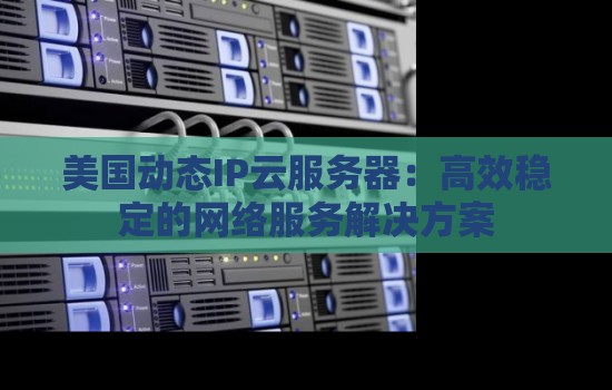 美国动态IP云服务器：高效稳定的网络服务解决方案