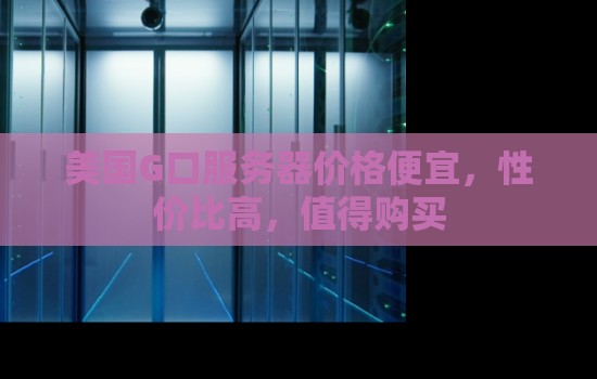 美国G口服务器价格便宜,性价比高,值得购买 美国G口服务器价格便宜,性价比高,值得购买