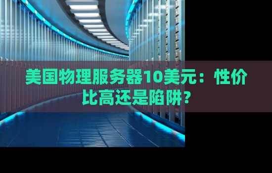 美国物理服务器10美元:性价比高还是陷阱? 美国物理服务器10美元:性价比高还是陷阱?