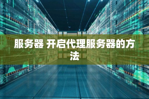 服务器 开启代理服务器的方法