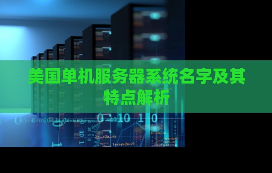 美国单机服务器系统名字及其特点解析 美国单机服务器系统名字及其特点解析