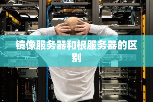 镜像服务器和根服务器的区别