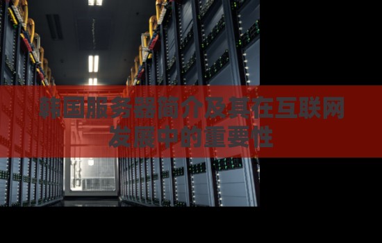 韩国服务器:互联网发展的重要支撑与创新引擎 韩国服务器:互联网发展的重要支撑与创新引擎