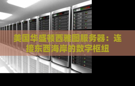 美国华盛顿西雅图服务器：连接东西海岸的数字枢纽