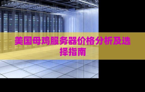 美国母鸡服务器价格分析及选择建议 美国母鸡服务器价格分析及选择建议