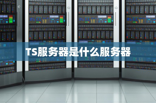 TS服务器是什么服务器 TS服务器是什么服务器