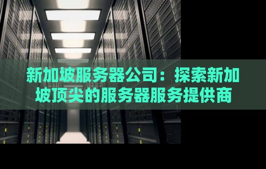 新加坡服务器公司:分析新加坡顶尖的服务器服务提供商 新加坡服务器公司:分析新加坡顶尖的服务器服务提供商