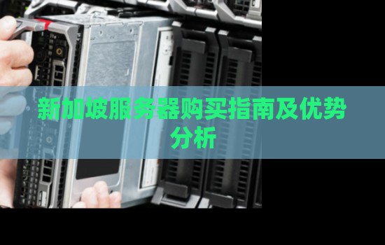 新加坡服务器购买建议及优势分析 新加坡服务器购买建议及优势分析