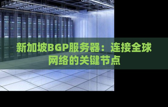 新加坡BGP服务器：连接全球网络的关键节点