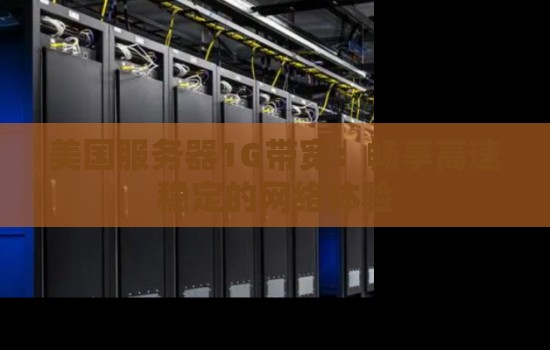 美国服务器1G带宽：畅享高速稳定的网络体验