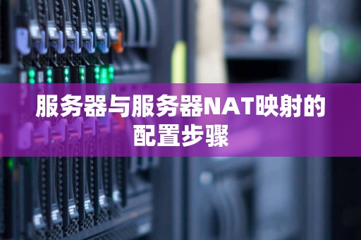 服务器与服务器NAT映射的配置步骤