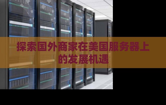 分析国外商家在美国服务器上的发展机遇 分析国外商家在美国服务器上的发展机遇