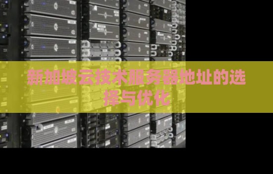 新加坡云技术服务器地址的选择与优化 新加坡云技术服务器地址的选择与优化