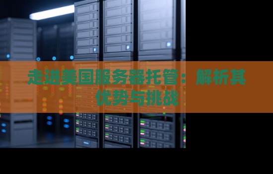 走进美国服务器托管：解析其优势与挑战