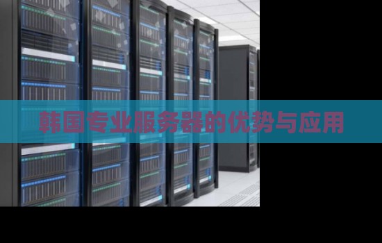 韩国专业服务器的优势与应用