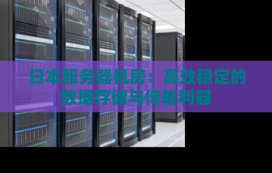 日本服务器机房:高效稳定的数据存储与传输利器 日本服务器机房:高效稳定的数据存储与传输利器