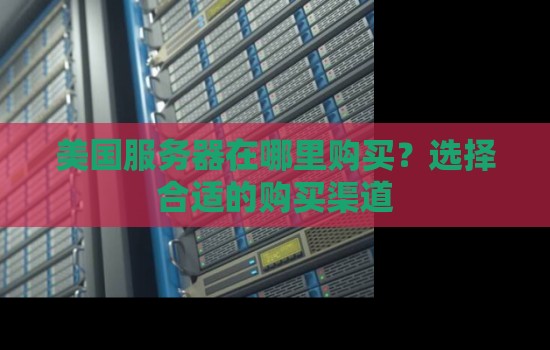 美国服务器在哪里购买？选择合适的购买渠道