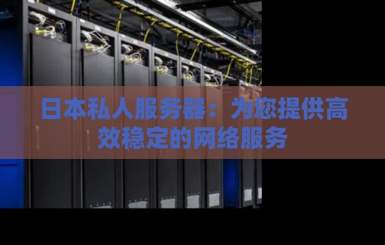 日本私人服务器：为您提供高效稳定的网络服务