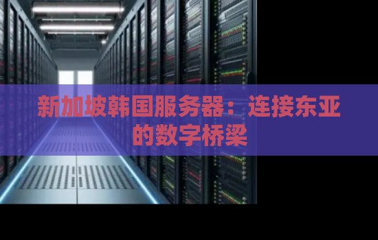新加坡韩国服务器：连接东亚的数字桥梁