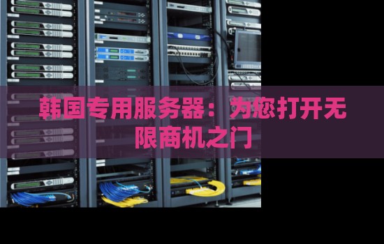 韩国专用服务器：为您打开无限商机之门
