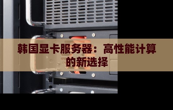 韩国显卡服务器:高性能计算的新选择 韩国显卡服务器:高性能计算的新选择