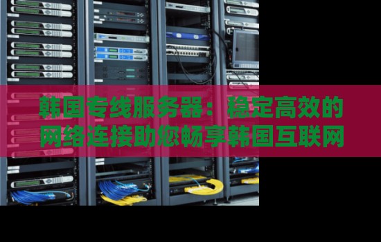 韩国专线服务器：稳定高效的网络连接助您畅享韩国互联网体验