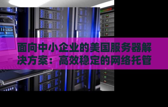 面向中小企业的美国服务器解决方案:高效稳定的网络托管服务助力企业发展 面向中小企业的美国服务器解决方案:高效稳定的网络托管服务助力企业发展