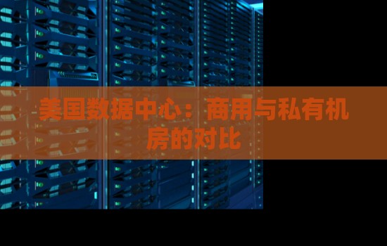 美国数据中心:商用与私有机房的对比 美国数据中心:商用与私有机房的对比