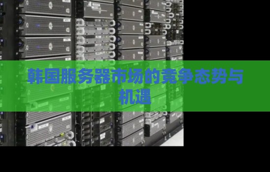 韩国服务器市场的竞争态势与机遇