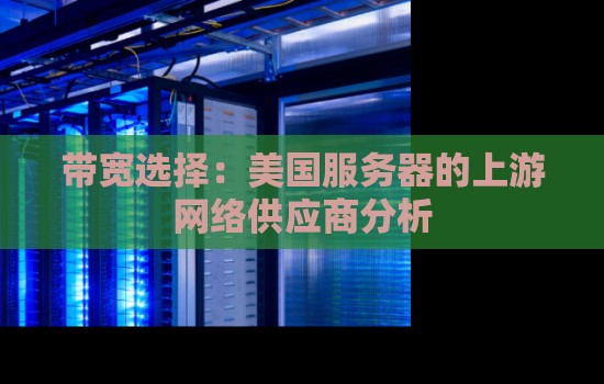 带宽选择:美国服务器的上游网络供应商分析 带宽选择:美国服务器的上游网络供应商分析