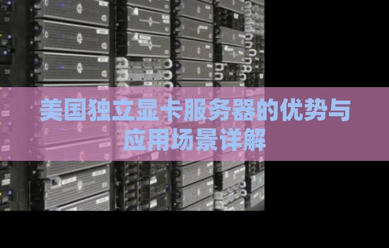 美国独立显卡服务器的优势与应用场景详解