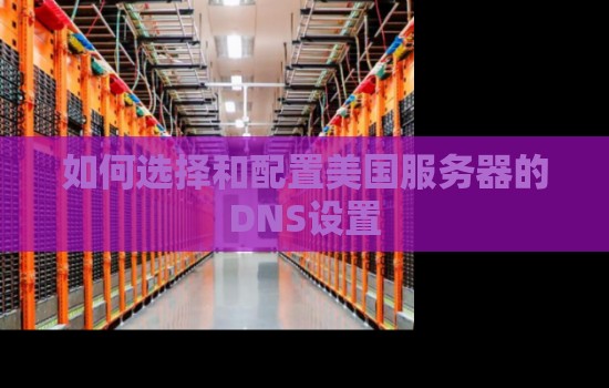 如何选择和配置美国服务器的DNS设置 如何选择和配置美国服务器的DNS设置