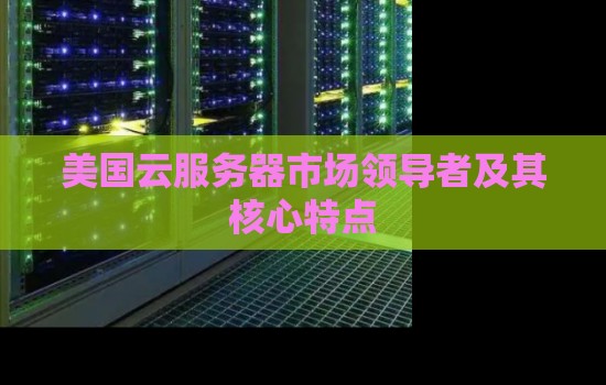 美国云服务器市场领导者及其核心特点