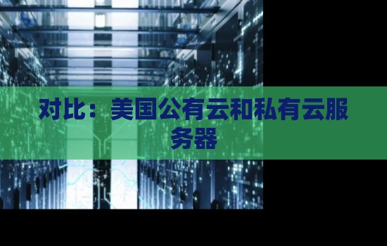 美国公有云和私有云服务器优缺点对比
